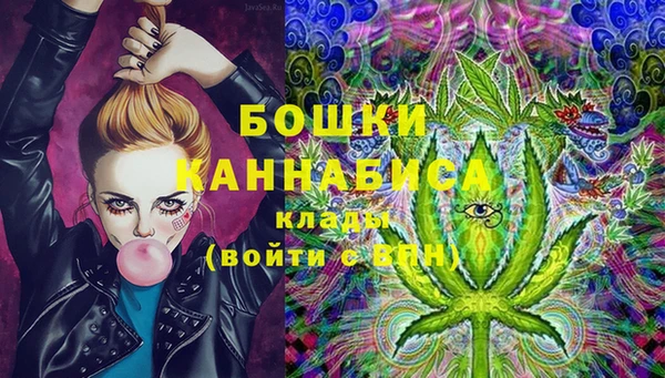 индика Балахна