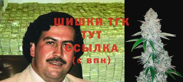 индика Балахна