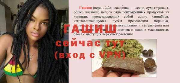 индика Балахна