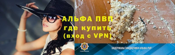 индика Балахна