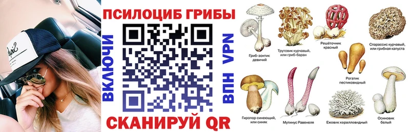 Галлюциногенные грибы мицелий  магазин    Петровск 